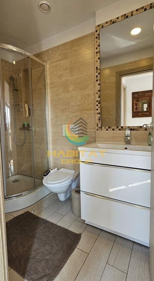 3 camere cu terasa- Parcul Carol - Gramont - 10