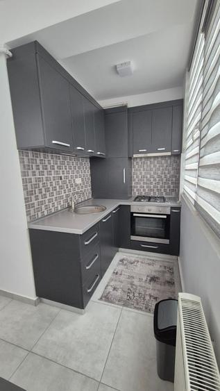 Lux Imobiliare Alexandru Cosmin Residence va ofera spre inchiriere ap 2  cam - 4