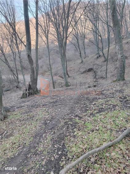 Teren intravilan zona Monteoru - 3