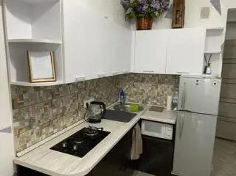 De vanzare apartament cu o camera in zona Buziasului - 1