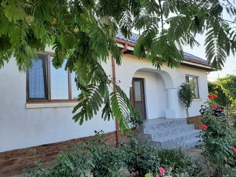 Casă cu Teren Generos – Localitatea Poșta, jud. Tulcea - 8