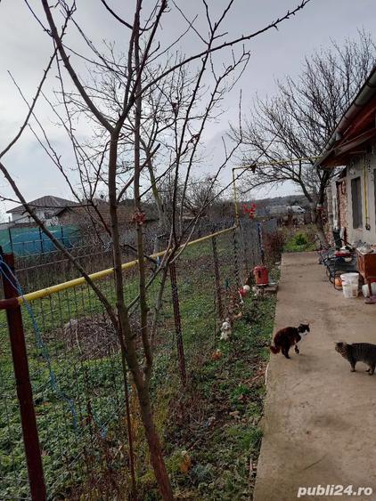 casa de vanzare !! - 2