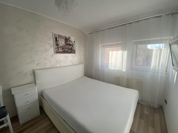 Cochet la intrare in Dumbravita - 4