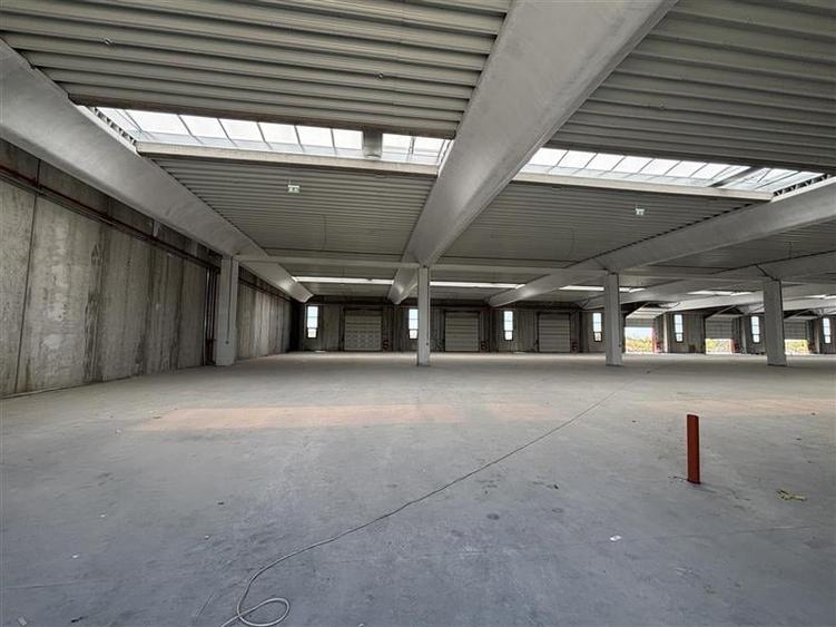 Vanzare depozit/spatiu industrial/hala Chitila - Rudeni, ILFOV - 9