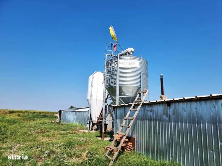 Ferma de gaini ouatoare in sistem free-range | 45.000 mp teren - 2