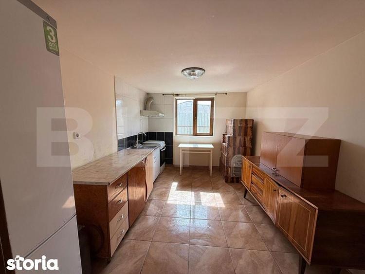Casa de vanzare in Strejnicu ideala pentru locuit sau investitie - 10