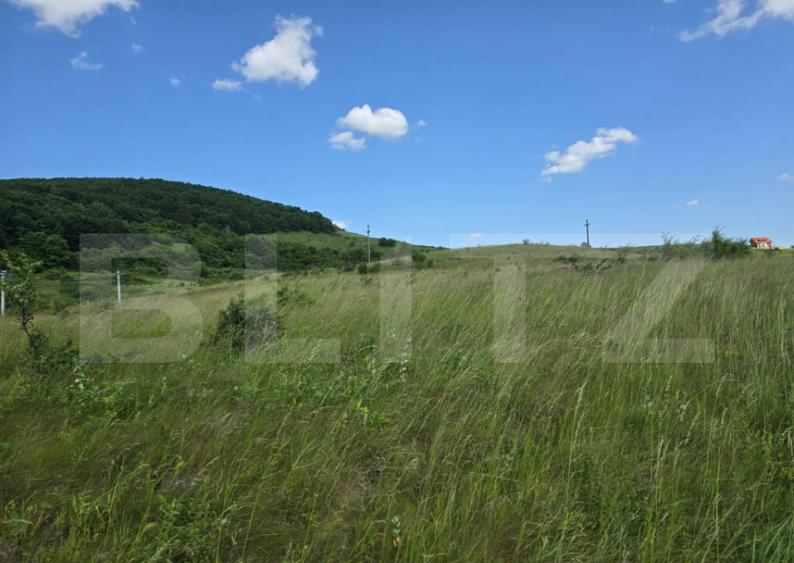 Teren potrivit pentru investitie in zona complexului Domeniu - 2