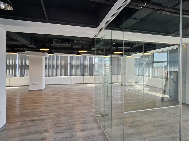 Spatiu Birou Cismigiu- Domus I - 7