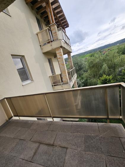 Inchiriez apartament tip studio cu garaj si anexa, Str. Terra, Cluj Napoca - 11