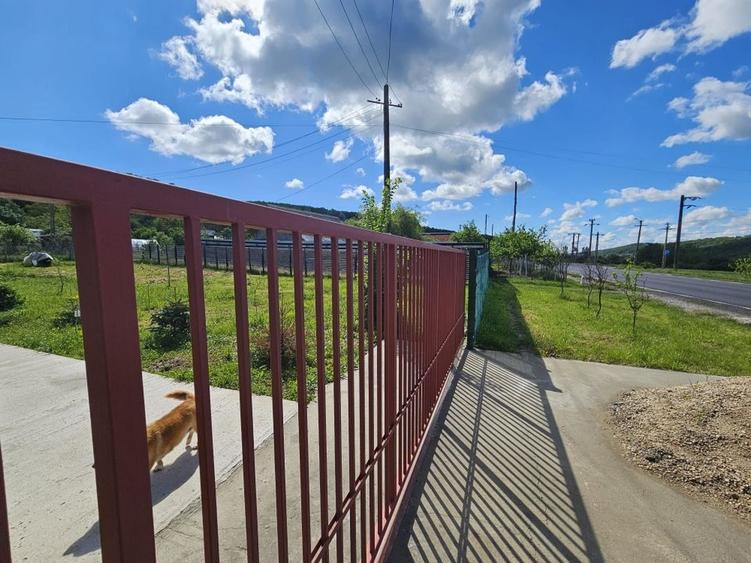 Proprietate deosebită de vânzare – Drăganu, Argeș - 8