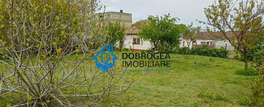 MAHMUDIA-CASA BATRANEASCA 4 CAMERE,TEREN 990 MP. - 5