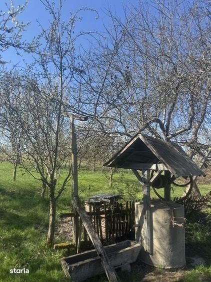 Casa si teren de vanzare la 40 km de Baia Mare - 6