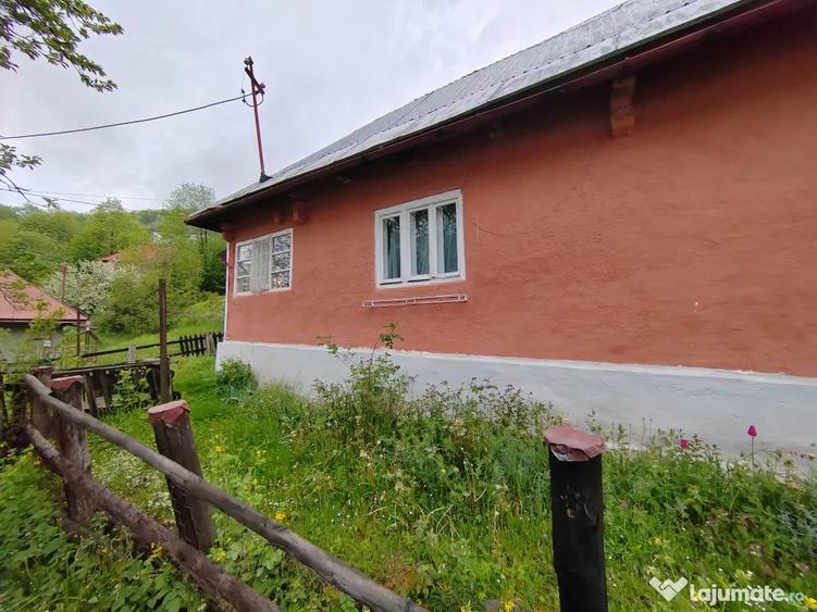 Casa de vanzare Cavnic - 3