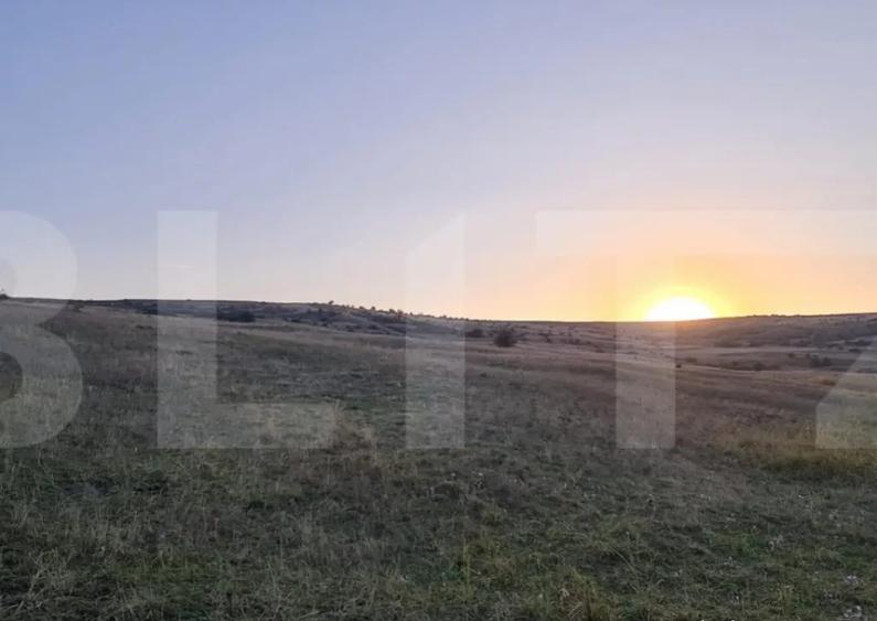 Teren, 11.600 mp, Campenesti - 5