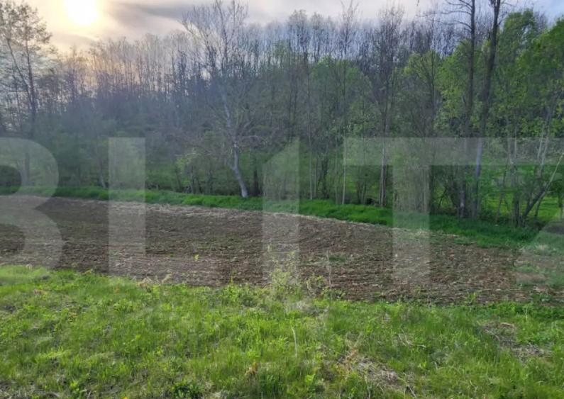 Teren 6650 mp, cu casa nefinalizata de 111 mp, in Nisipoasa - 9