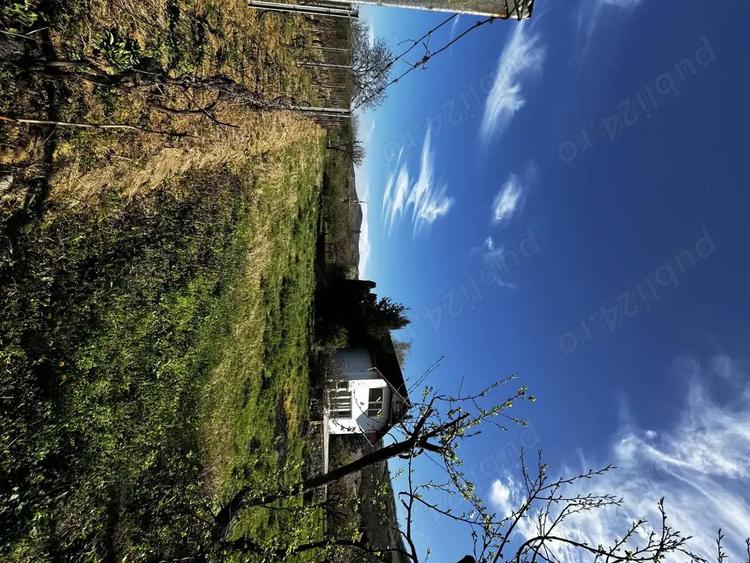 Vila cu livada Paulis, Arad - 7