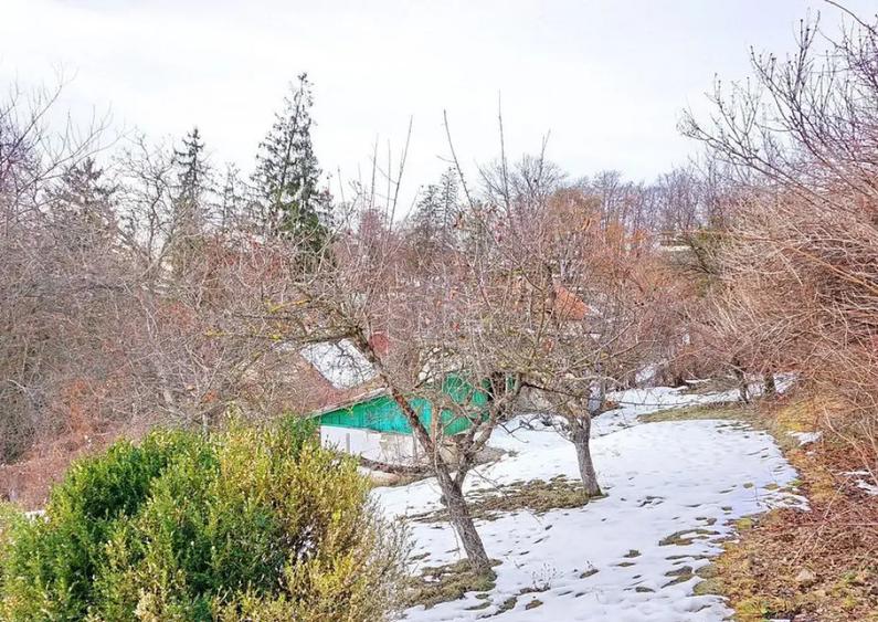 Teren Intravilan - Zona Drumul Poienii - 3