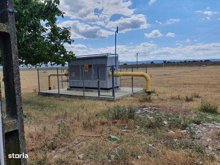 Proprietar, 2000 mp teren extravilan, zona Targul auro Serbanesti - 1