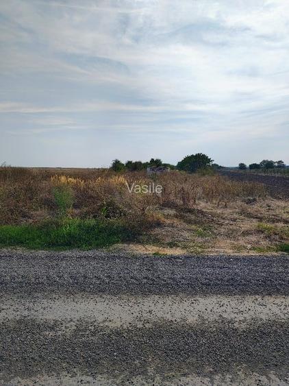 Intravilan agricol