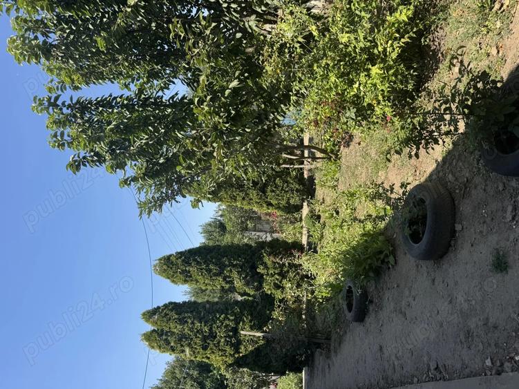 Casa de vanzare in sat Pietreni , jud Constan?a - 10