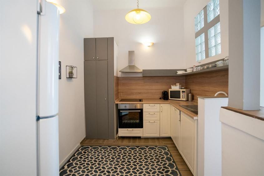Apartament ULTRACENTRAL 3 camere Alecsandri - 9