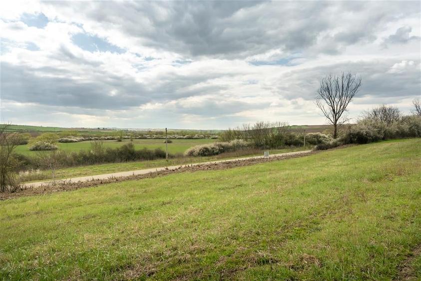 Teren intravilan Cetariu - 6