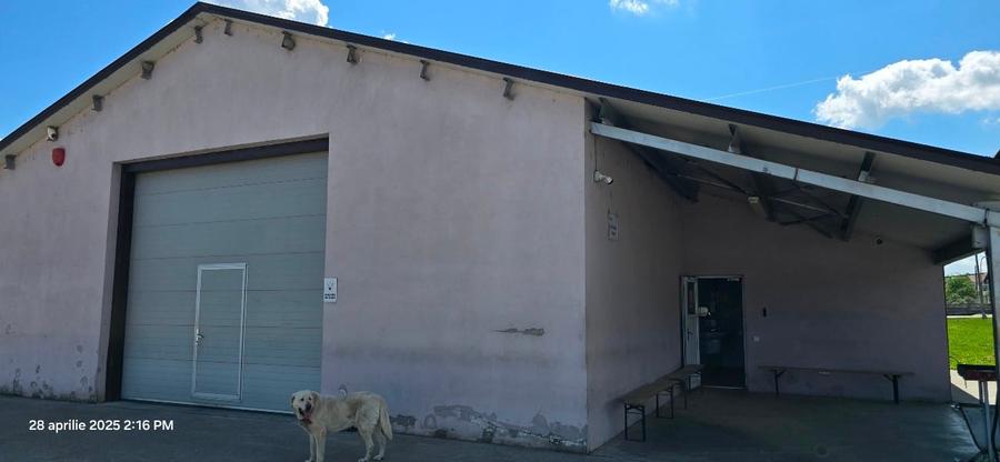 Proprietate imobiliara, Com. Farcasa, jud. Maramures - 3