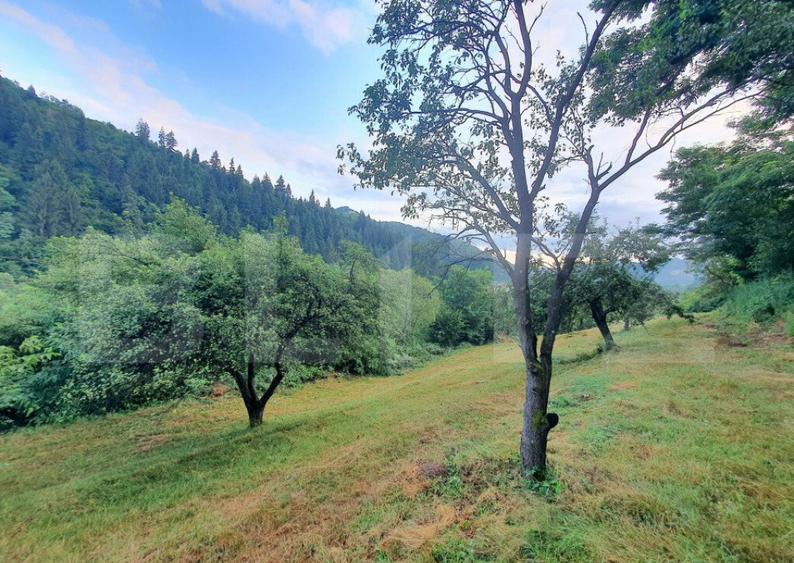 Teren intravilan, 31 ari, Ilva Mica, zona montana - 7