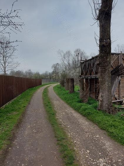 Teren de 2137 mp, în Șerbănești (Rociu)