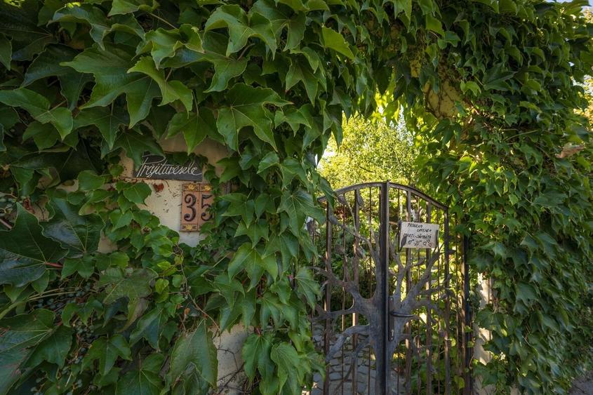 PROPRIETATE UNICA: 1.618 MP TEREN  IN PIPERA, CU VILA SOLIDA SI GRADINA SUPERBA - 39