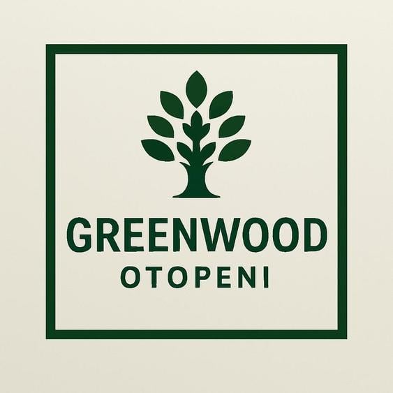 Apartament 2 camere 23 august OTOPENI - 3