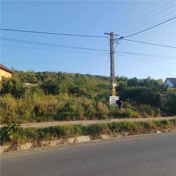 TEREN TOMESTI 35 EURO MP NEGOCIABIL - 1