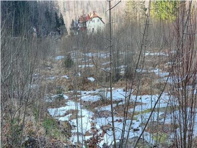 De vanzare teren intravilan AZUGA - 8