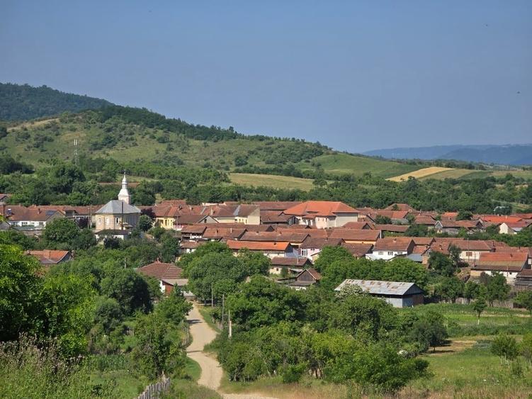 Casa de vanzare la sosea in Girbovat, langa Bozovici, 5 camere - 13