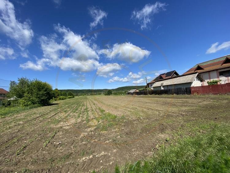 Teren intravilan 7.295 mp – Argeselu, Maracineni, AG - 6