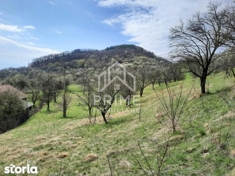 TEREN INTRAVILAN 13700 MP, INURI, VINTU DE JOS - 3