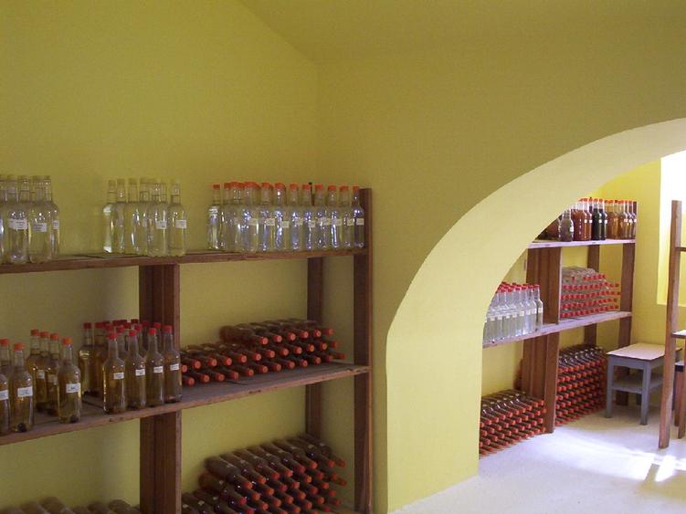 Casă individuală cu 6 camere cu Teren 11800 Mp în Șimand