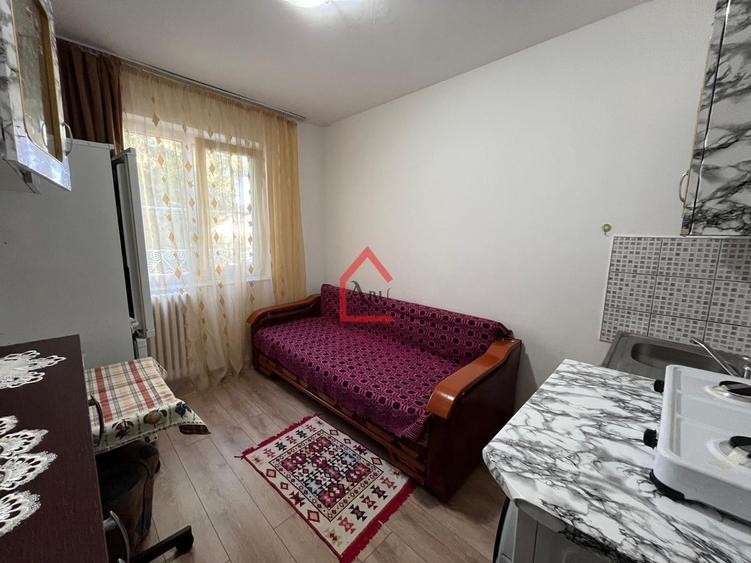 Garsonieră nedecomandată, mobilată în Alexandru cel Bun