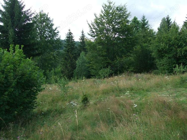 Teren de 34500 mp, în Băile Chirui