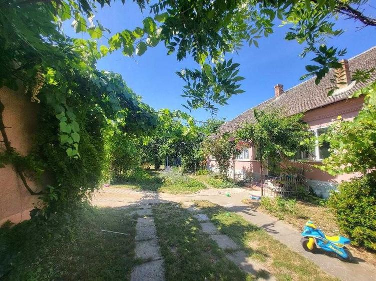 Casă cu 3 camere în Central