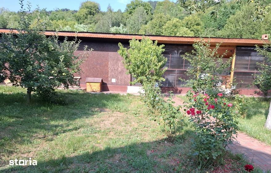 Casă cu 3 camere cu Teren 900 Mp în Bârsești
