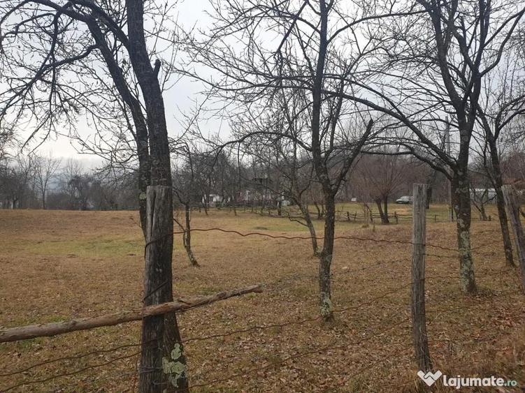 Teren intravilan 2911mp - 3