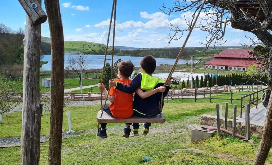 Domeniul Herneacova - 11