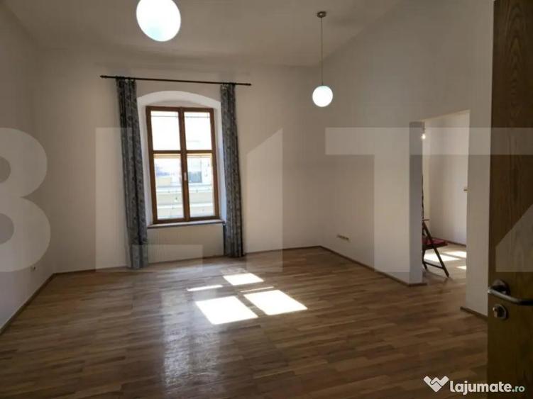 Apartament de vanzare, cu 1 camera, 40 mp, zona Unirii - 8