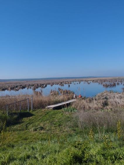 Vand teren intravilan 4000MP cu  dechidere la Delta Neajlovului, Comana GR - 6