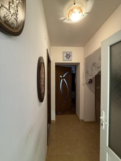 Casa individuala 2 camere, 80mp utili, 997 teren in Utvin - 9