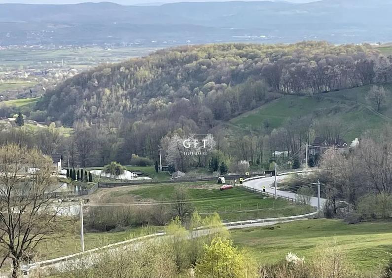 CABANA/PENSIUNE LA 25 MINUTE DE COLIBITA! PLATA IN RATE!!! - 14