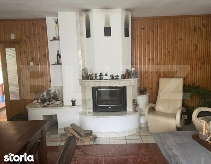 Pensiune deosebita in inima Muntilor Dacici investitie premium in - 10