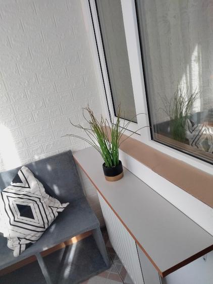 Garsoniera de închiriat pe termen de 6 luni 1200 roni - 5