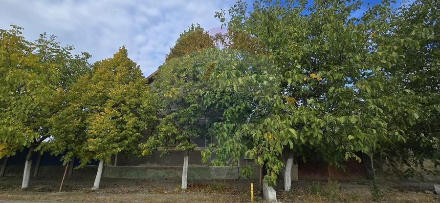 Teren si casă cu teren generos în Socodor - 11